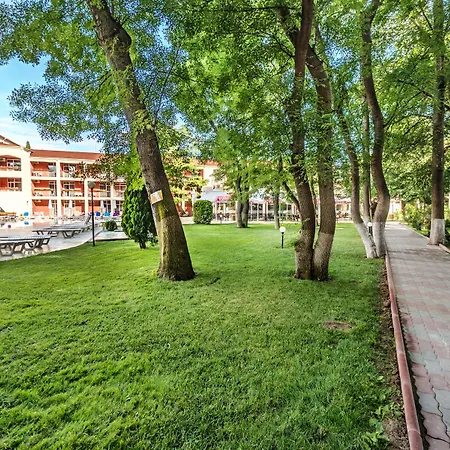 Asteria Family Sunny