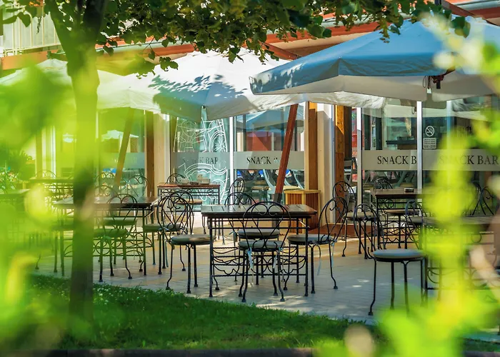 Asteria Family Sunny